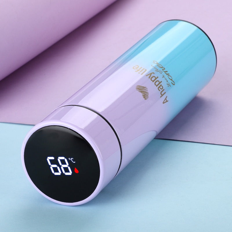 Termo Inteligente con Pantalla LED
